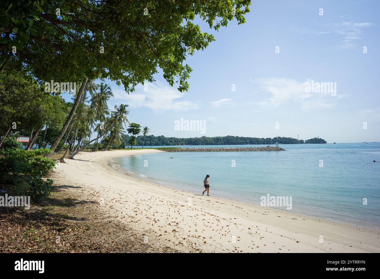 Sisters' Islands Marine Park, Singapur. Lagune Gezeitenbecken und Strand dienen als Korallenhabitat und Forschungsstätte. Stockfoto