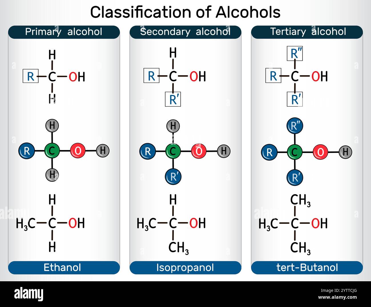 Klassifizierung von Alkoholen. Primärer, sekundärer, tertiärer Alkohol mit Ethanol, Isopropanol, tert-Butanol-Molekülen. Vektorabbildung Stock Vektor