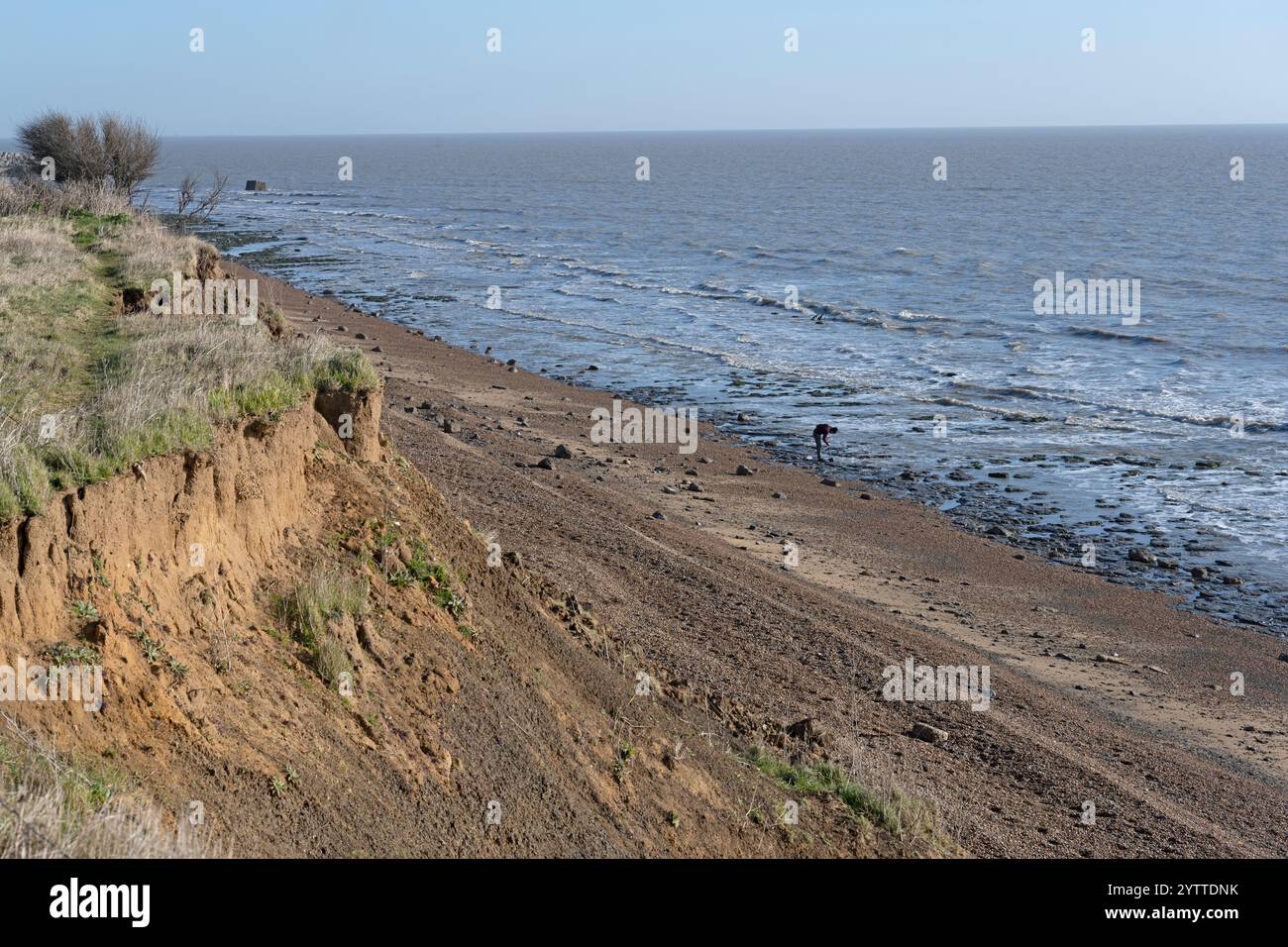 Fossilienjäger Bawdsey Suffolk UK Stockfoto