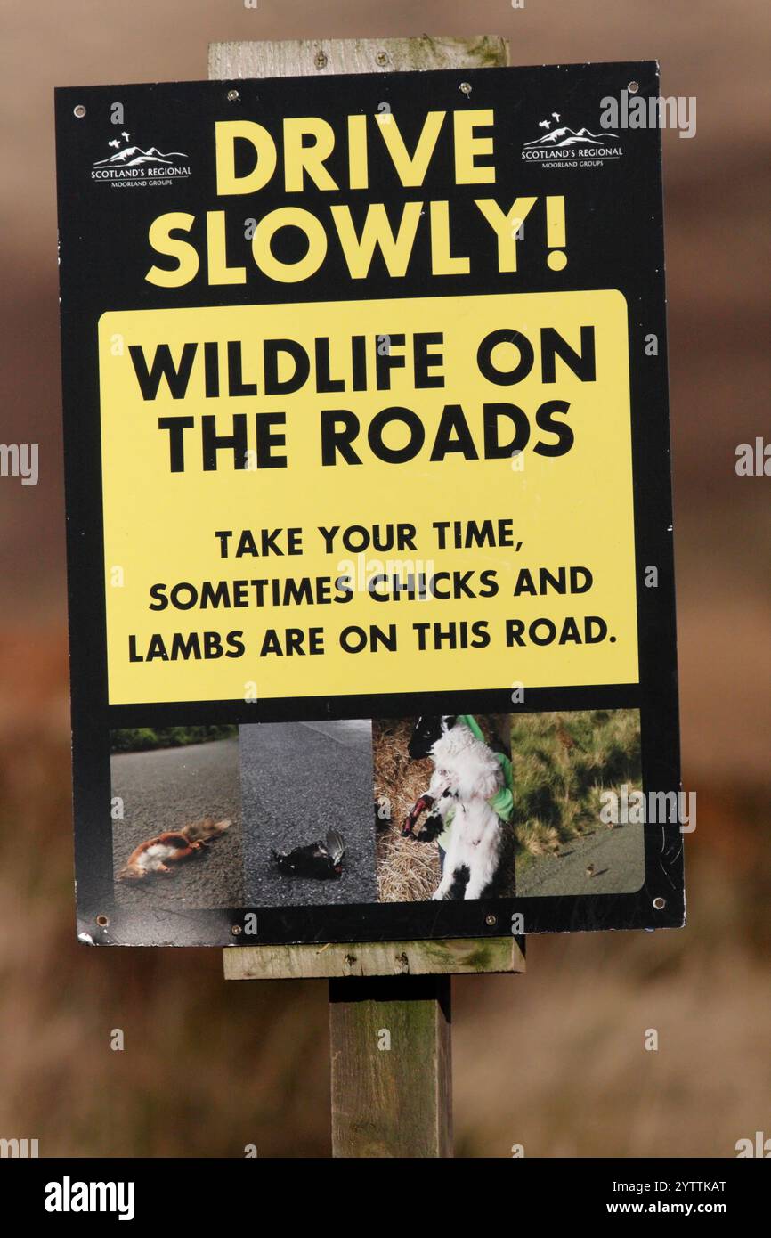 Schild, in dem Fahrer aufgefordert werden, wegen der Tierwelt auf den Straßen langsam zu fahren, Lammermuir Hills, Schottland, Großbritannien. Stockfoto