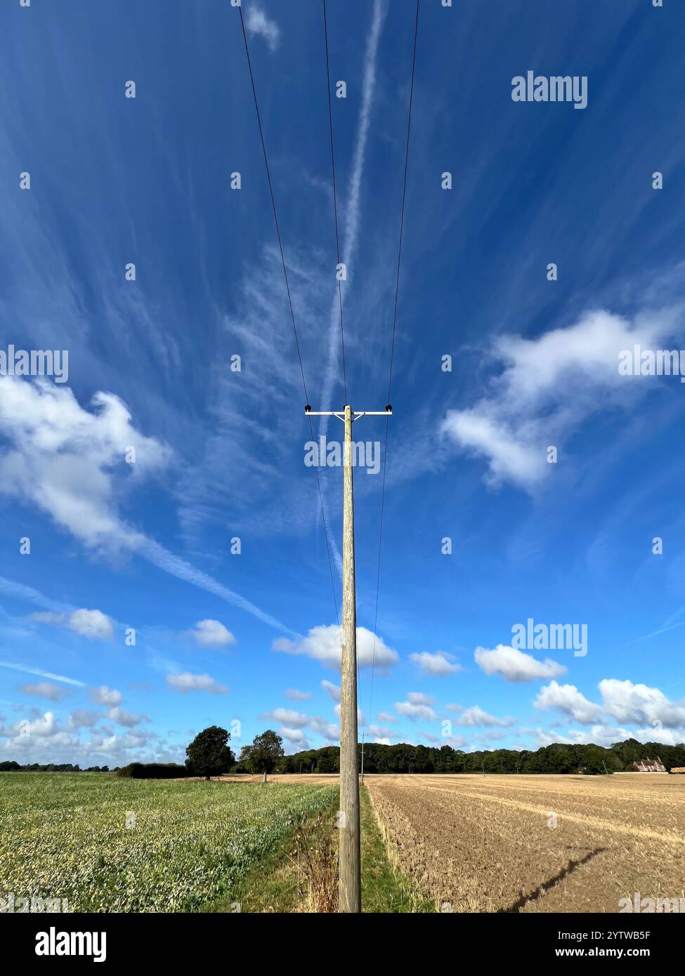 Ein Landschaftsfoto, das an einem sonnigen Tag über die Felder in South Norfolk aufgenommen wurde, Portraitausrichtung. - Smartphone-aufgenommenes Stockfoto