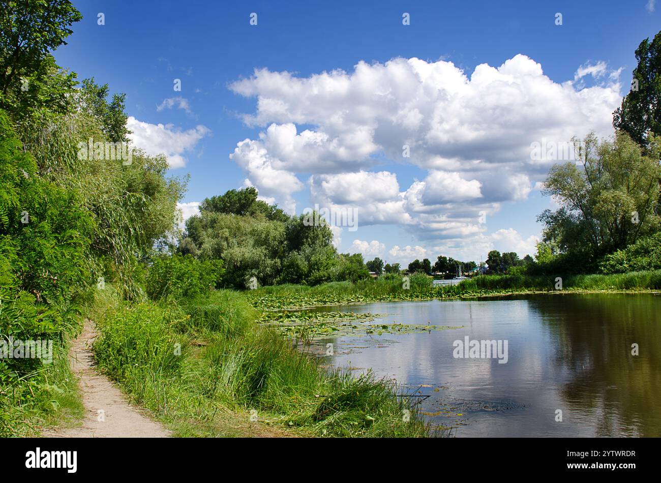 Fluss Dnepr. Ukraine. Ein malerischer Weg im Obolonsky-Viertel der Stadt Kiew, neben einem Wohngebiet, wilde Natur. Stockfoto