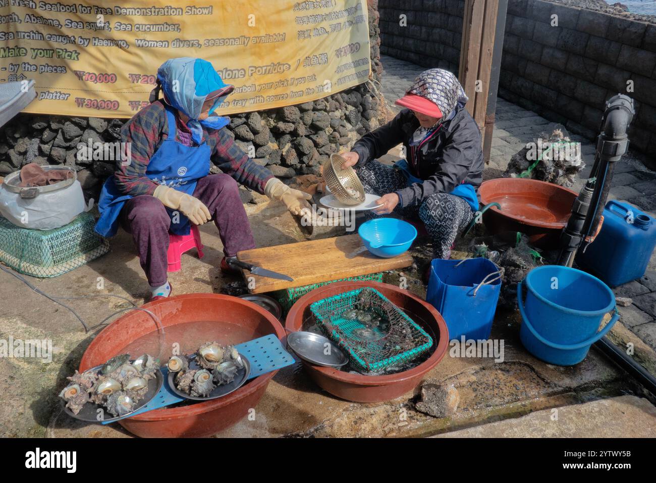 Haenyeo Taucher mit frischer Muschel und Abalone, Seongsan Ilchulbon, Jeju, Südkorea Stockfoto