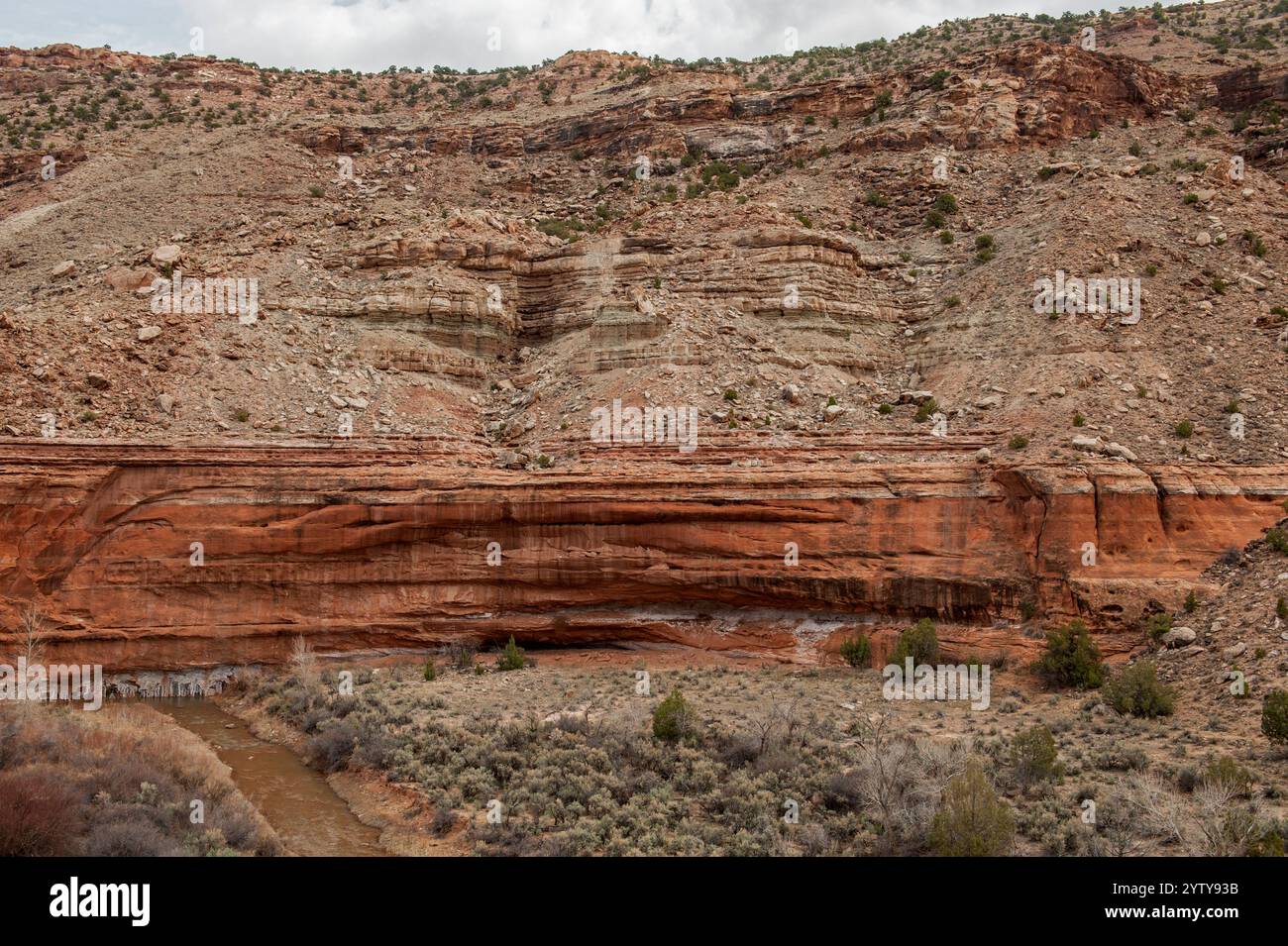 Eine Exposition von Entrada-Sandstein und Morrison-Formationsgestein darüber, neben dem Escalante Creek in der Dominguez-Escalante National Conservation Area n Stockfoto