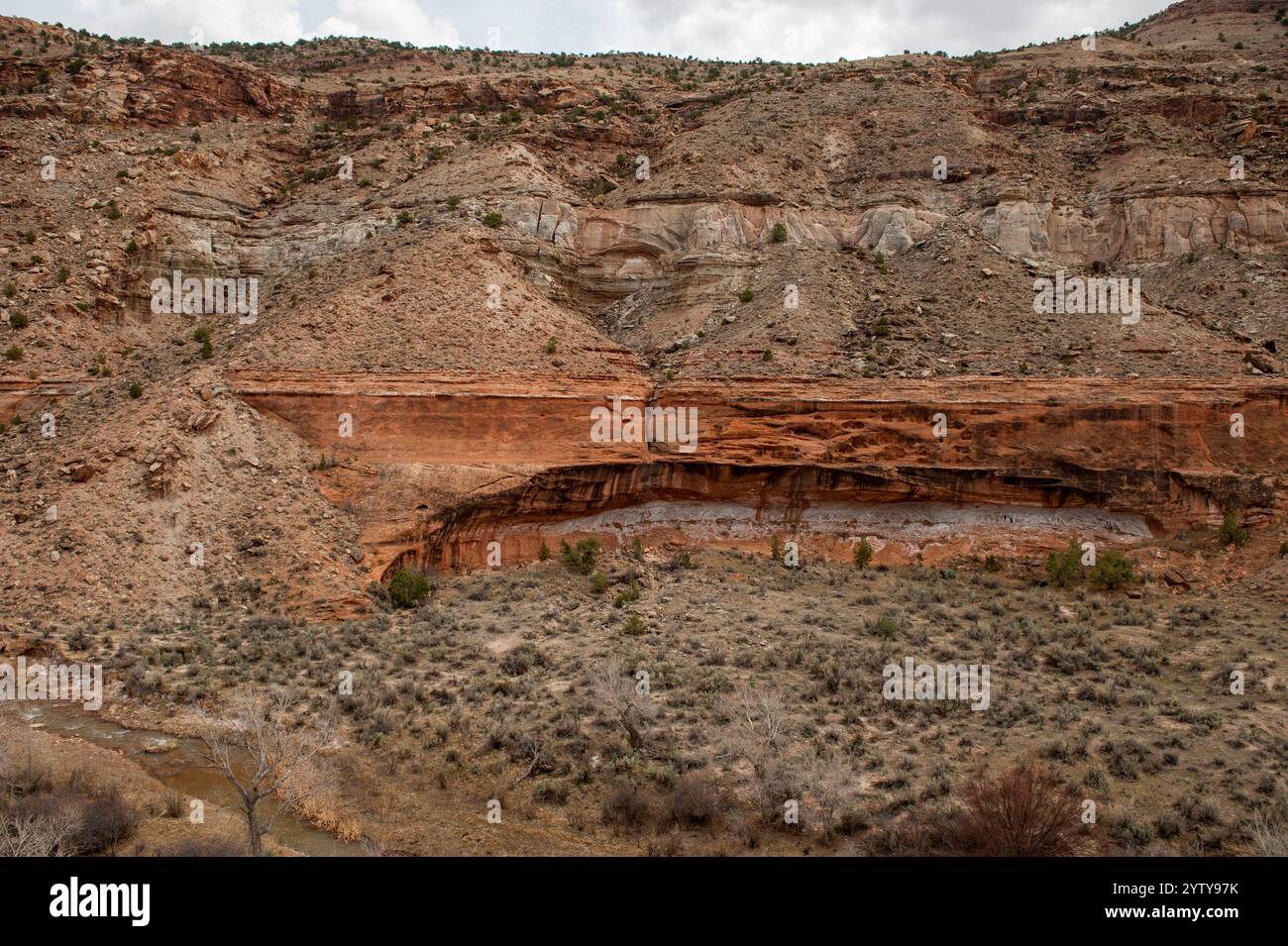 Eine Exposition von Entrada-Sandstein und Morrison-Formationsgestein darüber, neben dem Escalante Creek in der Dominguez-Escalante National Conservation Area n Stockfoto