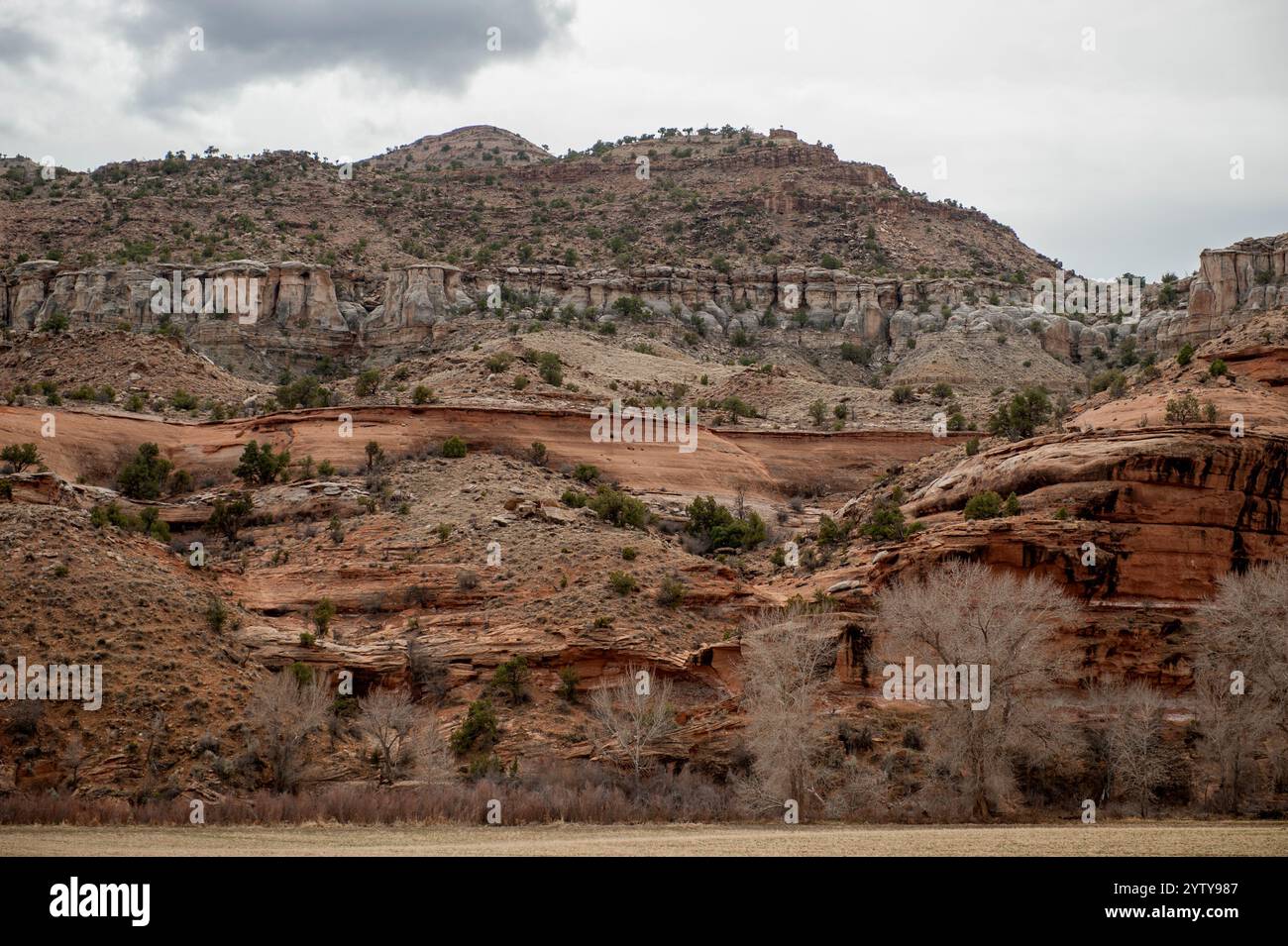 Eine Exposition von Entrada-Sandstein und Morrison-Formationsgestein darüber, neben dem Escalante Creek in der Dominguez-Escalante National Conservation Area n Stockfoto