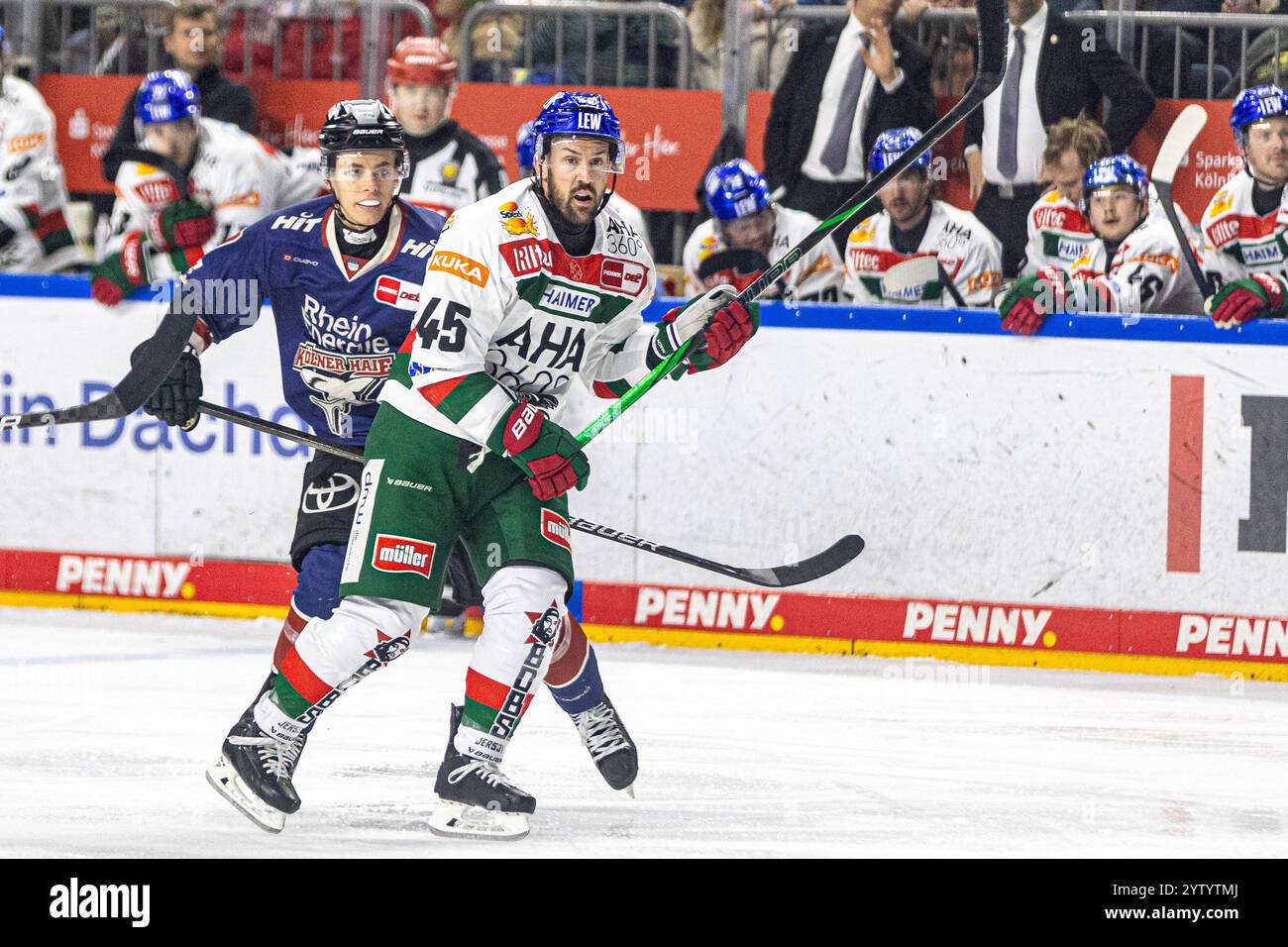 Tobias Ancicka (Koelner Haie, #45) Koelner Haie (KEC) vs. Augsburger Panther (AEV), Eishockey, Penny DEL, 24. Spieltag, 2024/2025, 08.12.2024 Foto: Eibner-Pressefoto/G. Wingender Stockfoto