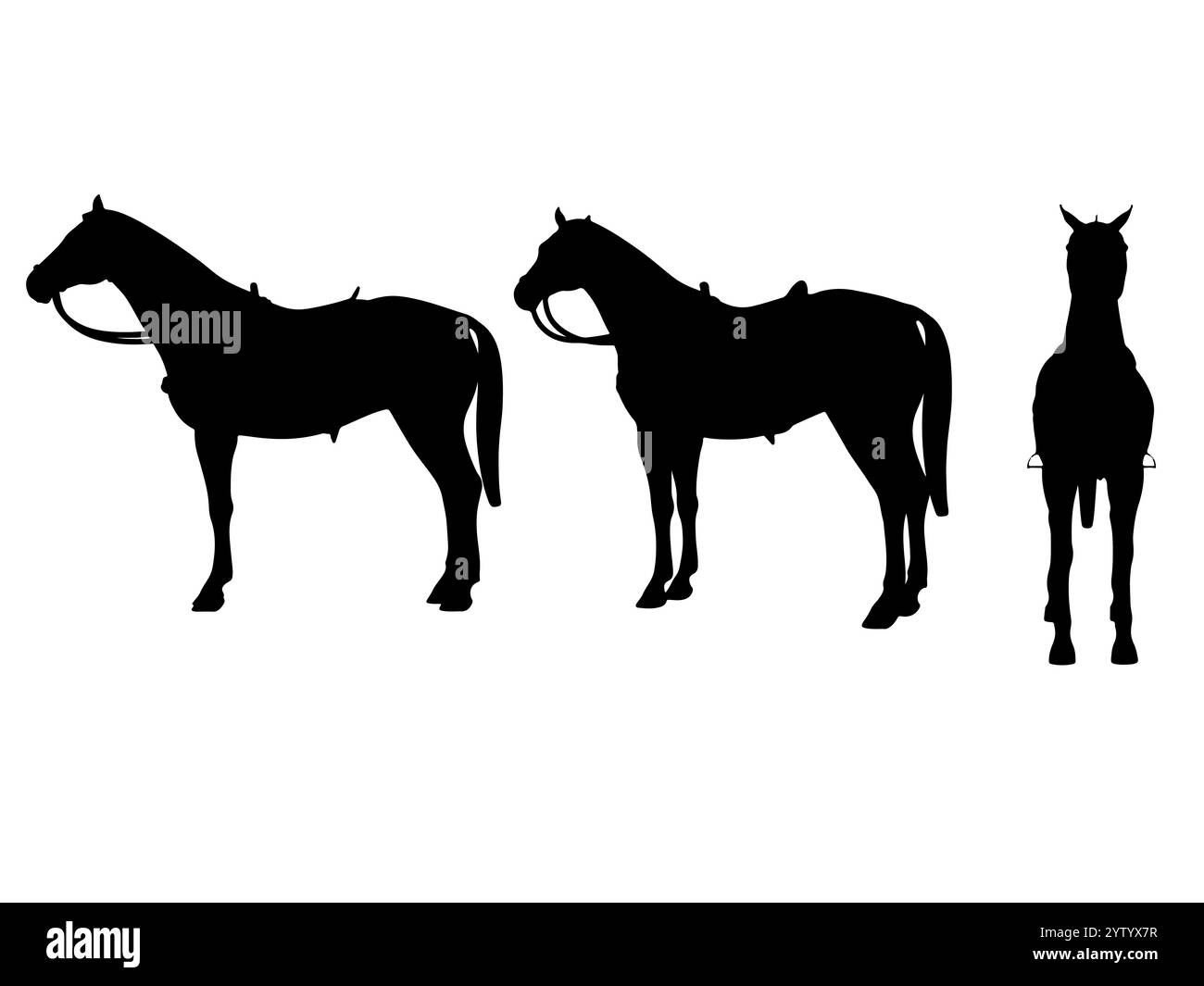 Pferdesilhouette, hochwertiges, detailliertes Pferd Stock Vektor