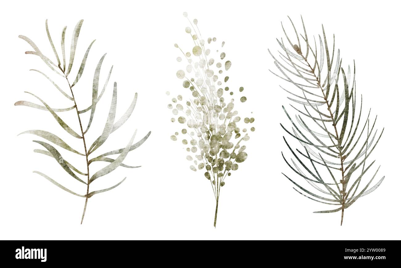 Botanisches Aquarell-Clipart mit gemalten Zweigen und üppigem Grün. Perfekt für Weihnachtskarten, Einladungen oder rustikale Designs. Enthält Grün Stockfoto