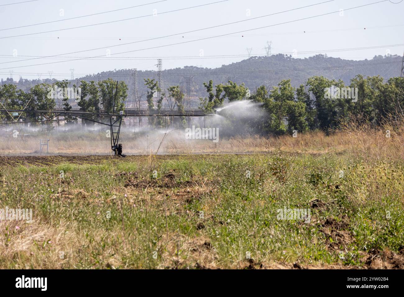 Automatisches Bewässerungssystem, das an einem sonnigen Tag ein trockenes Ackerfeld bewässert und so ein gesundes Pflanzenwachstum gewährleistet Stockfoto