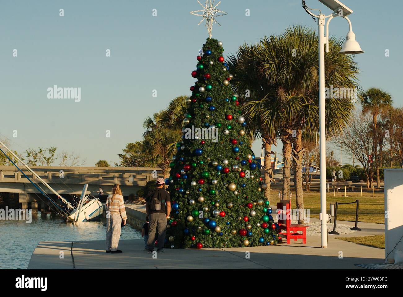 Weite Aussicht auf einen rot, weiß und grün dekorierten Weihnachtsbaum. Menschen, die auf einen Baum schauen. Roter Sitz vorne mit Zuckerstangen an der Seite. Großes weißes B Stockfoto
