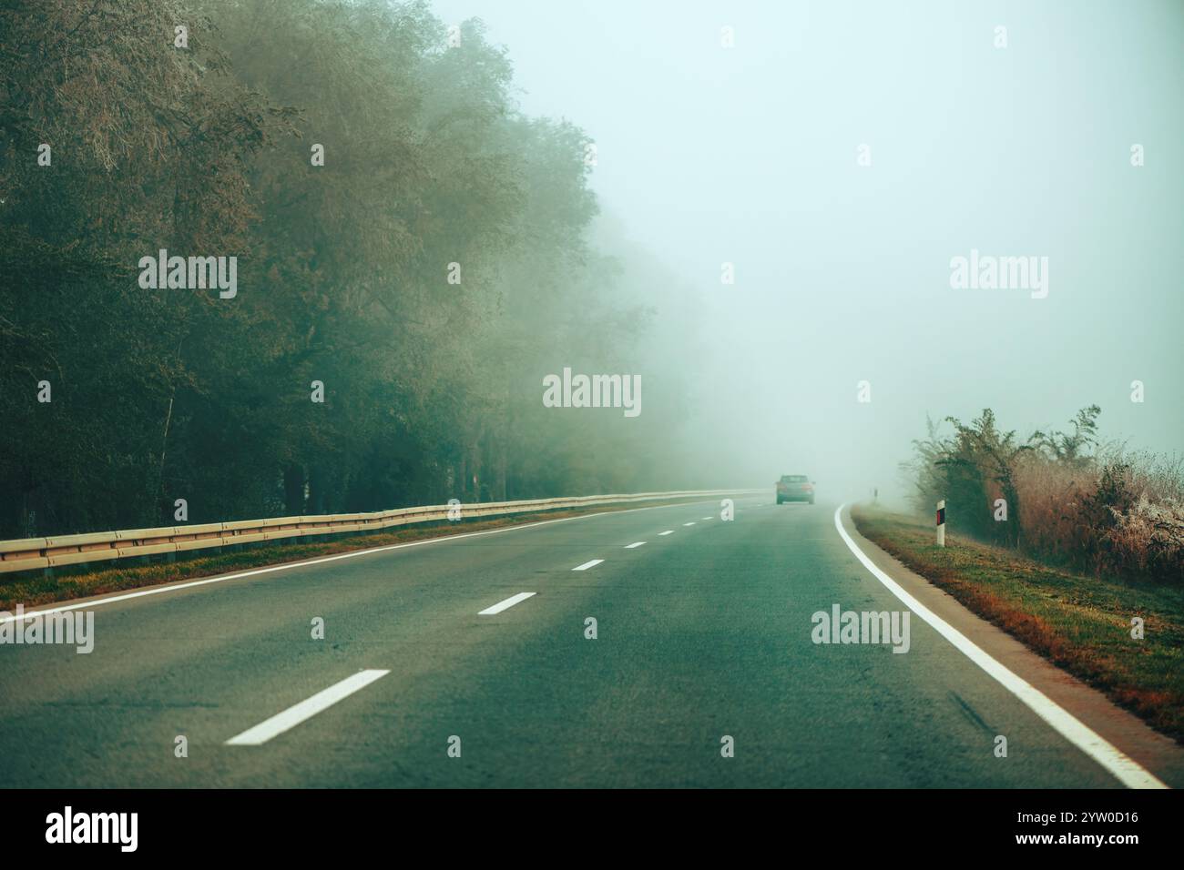 Autofahren auf der nebelbedeckten Straße am frühen Herbstmorgen, selektiver Fokus Stockfoto