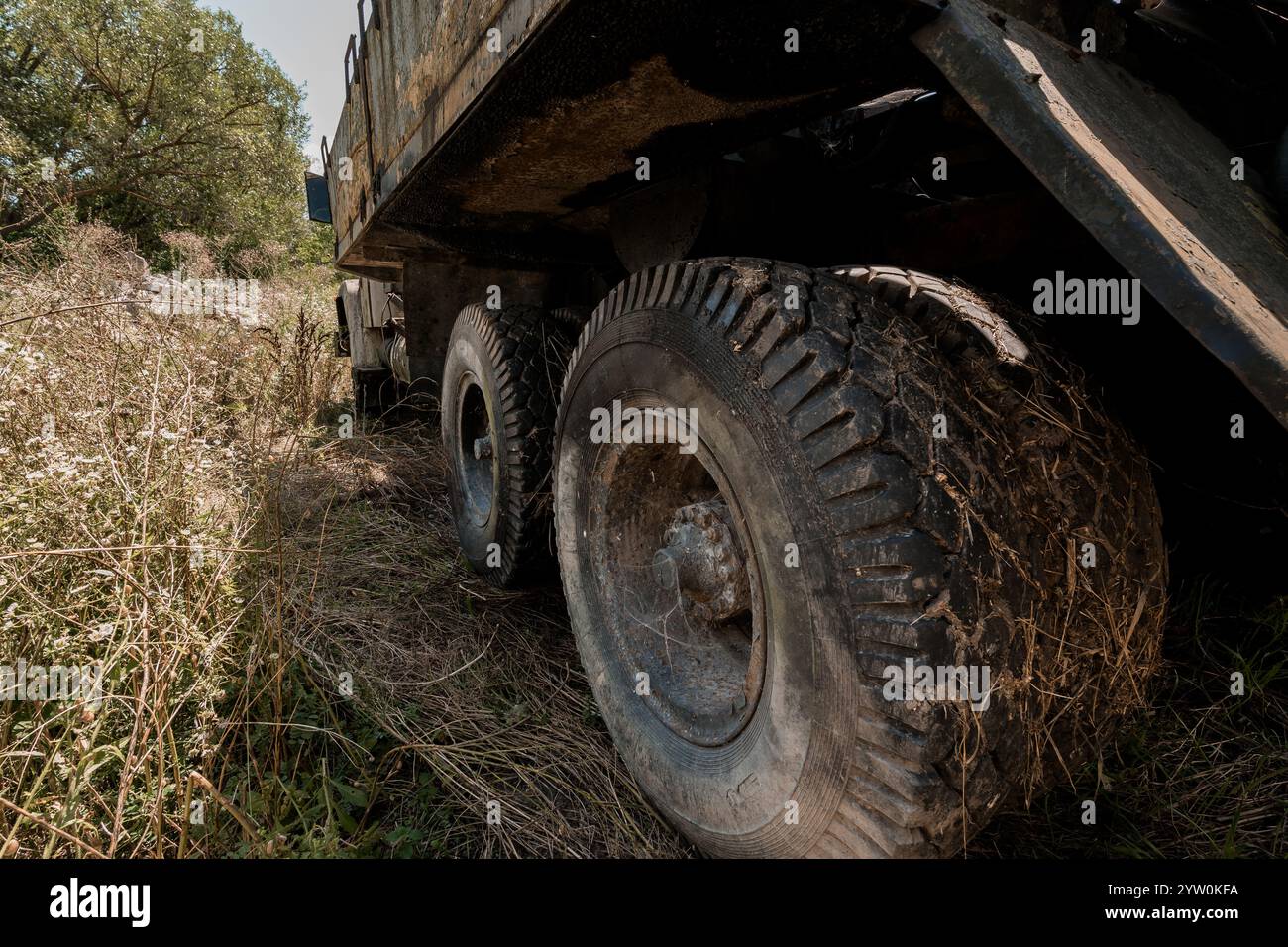 Perspektivische Ansicht eines verlassenen Trucks in der verwachsenen Wildnis. Stockfoto