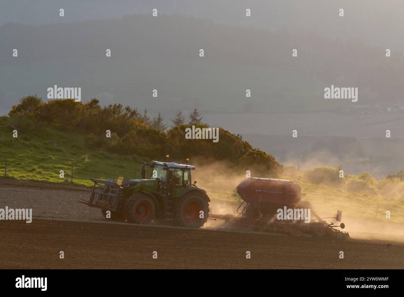 Ein Fendt-Traktor mit einem Horsch Universal-Saatbohrer, der Staubwolken aufwirft und in der Abendsonne ein Pflugfeld mit Getreide (Gerste) sät Stockfoto