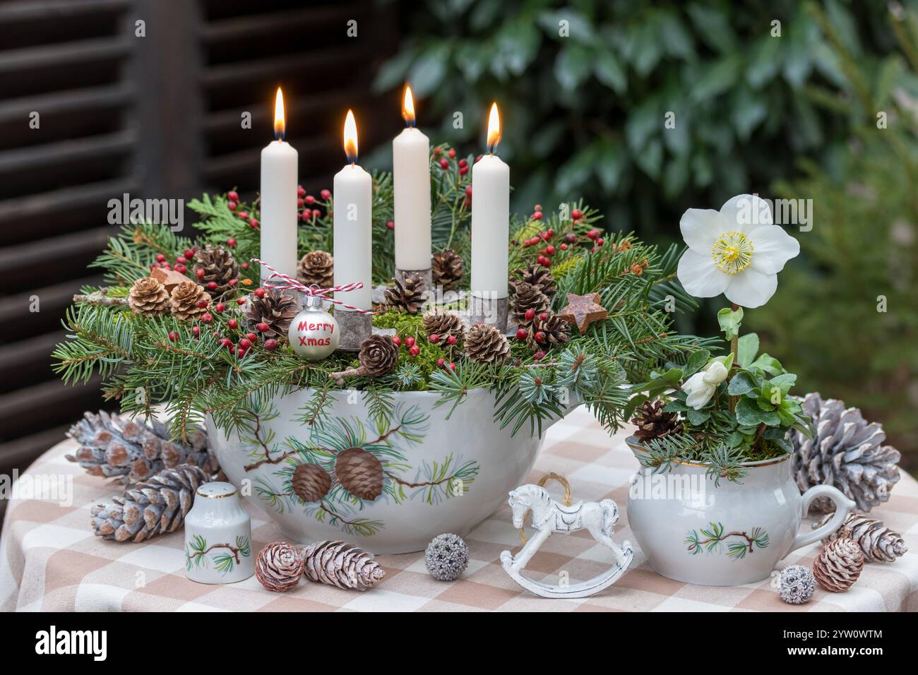 Weiße Adventskerzen in einem Suppentüreen, dekoriert mit Nadelzweigen, Kegeln und Hüftrosen und helleborus niger in einem Saucenboot Stockfoto