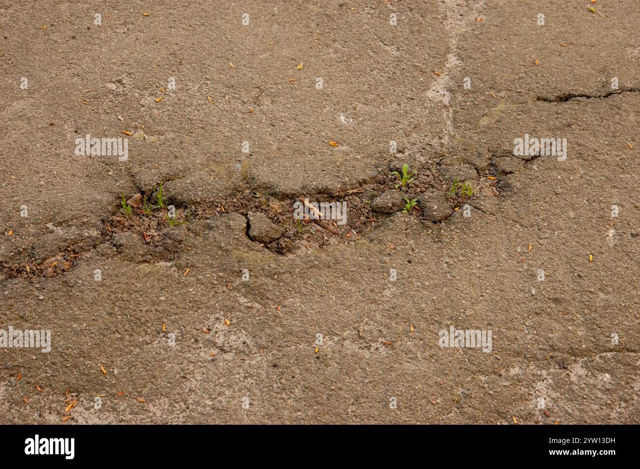 Verlassene schlechte Straße: Gebrochener Asphalt Stockfoto