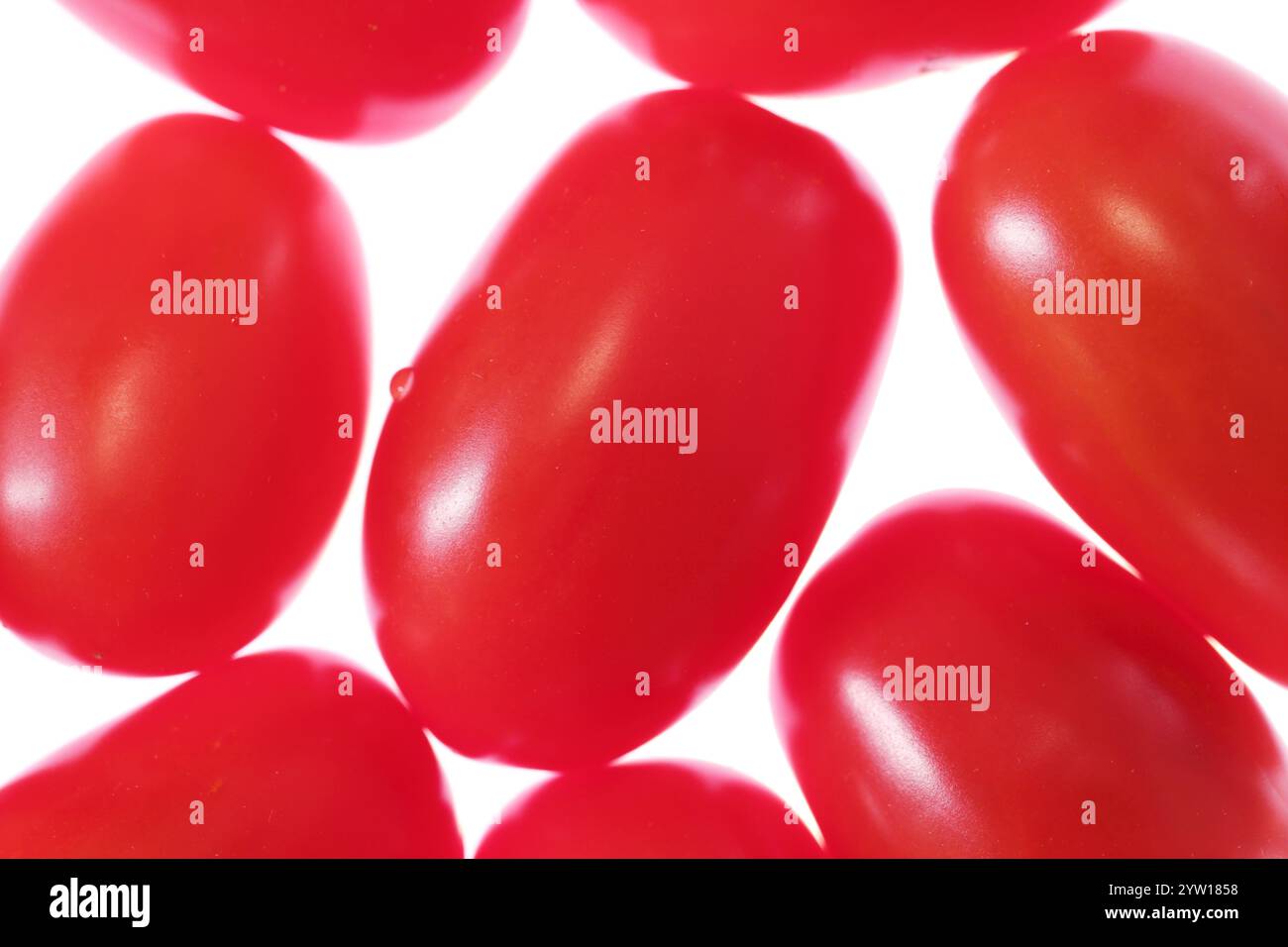 Eine Nahaufnahme kleiner, leuchtend roter Erdbeertomaten auf einem sauberen weißen Hintergrund. Die Tomaten haben eine glatte Haut und ein helles, saftiges Aussehen. Stockfoto