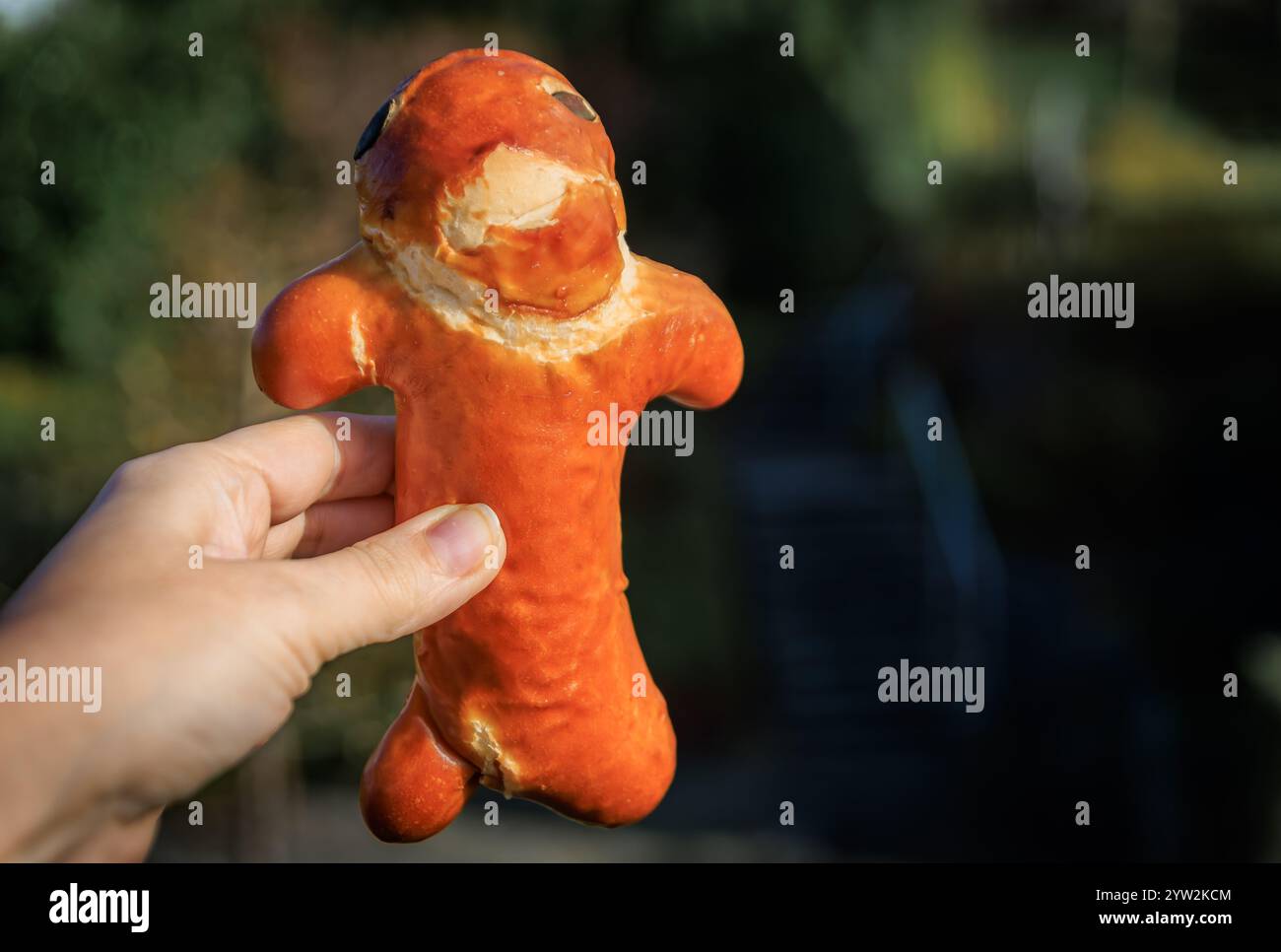 Handdekorierte festliche Grittibanz Stutenkerl Brezel oder Brezel, ein traditionelles Schweizer Weihnachtsgebäck mit komplizierten Details, Zürich, Schweiz Stockfoto