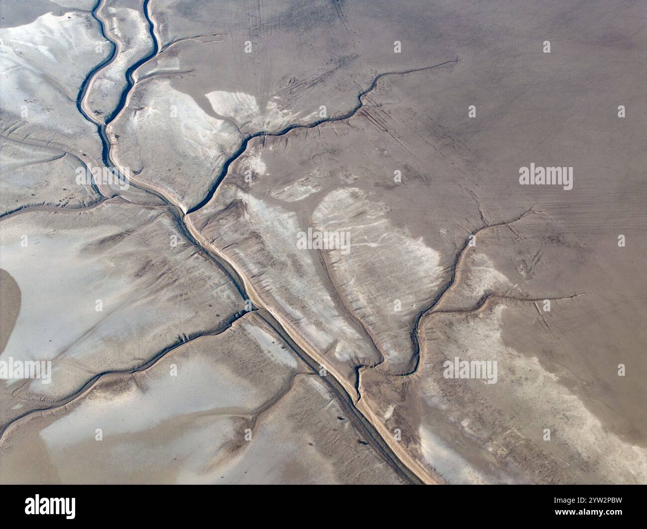 YANCHENG, CHINA - 8. DEZEMBER 2024 - Ein Gezeitenbaum in Form eines Drachenschwanzes wird im Feuchtgebiet des Gelben Meeres in Yancheng, dem ostchinesischen Jiang, gesehen Stockfoto