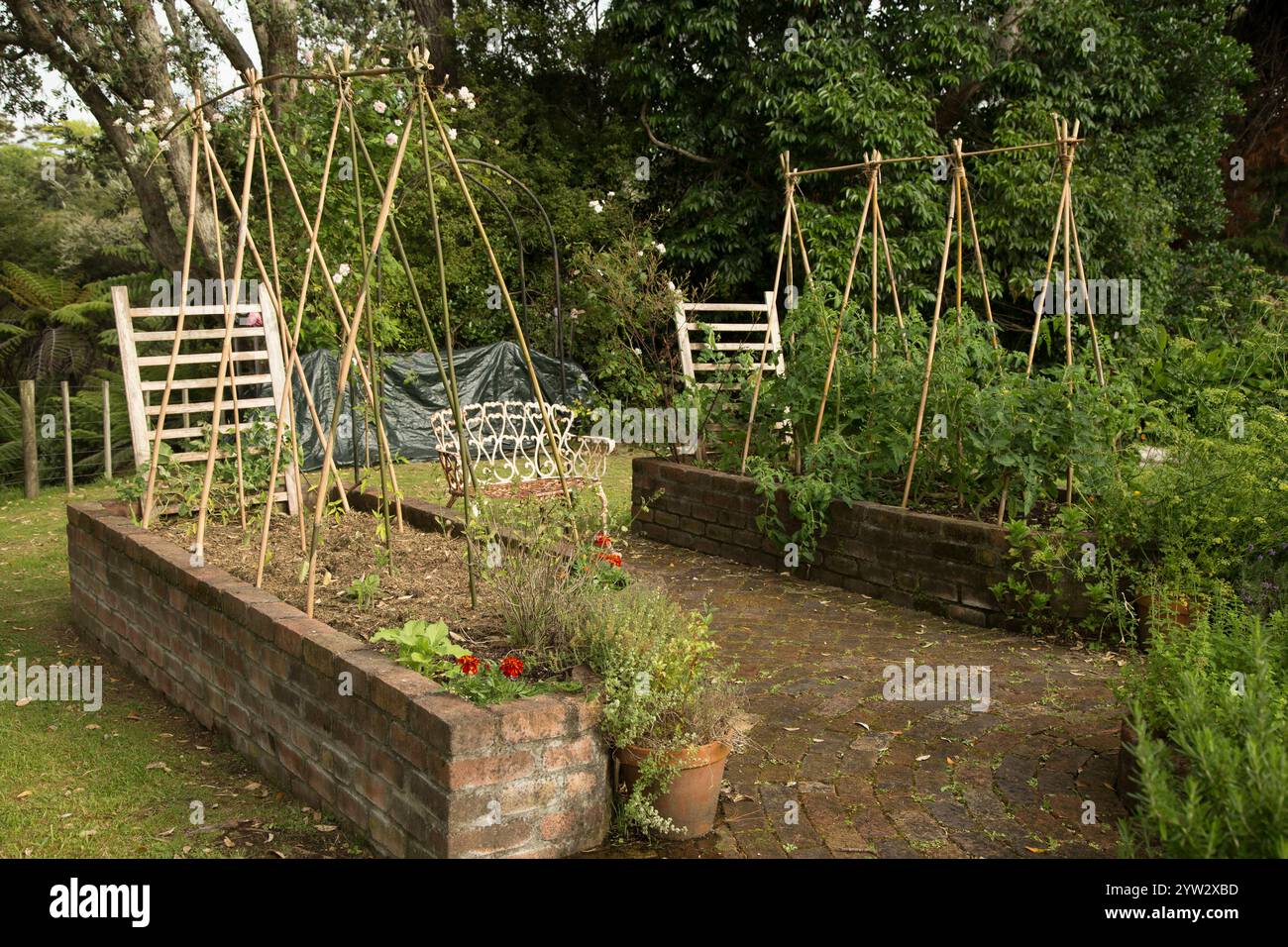 Ein gepflegter Gemüsegarten mit erhöhten Ziegelbeeten und Bambusstützen für Pflanzen, Auckland, Neuseeland Stockfoto