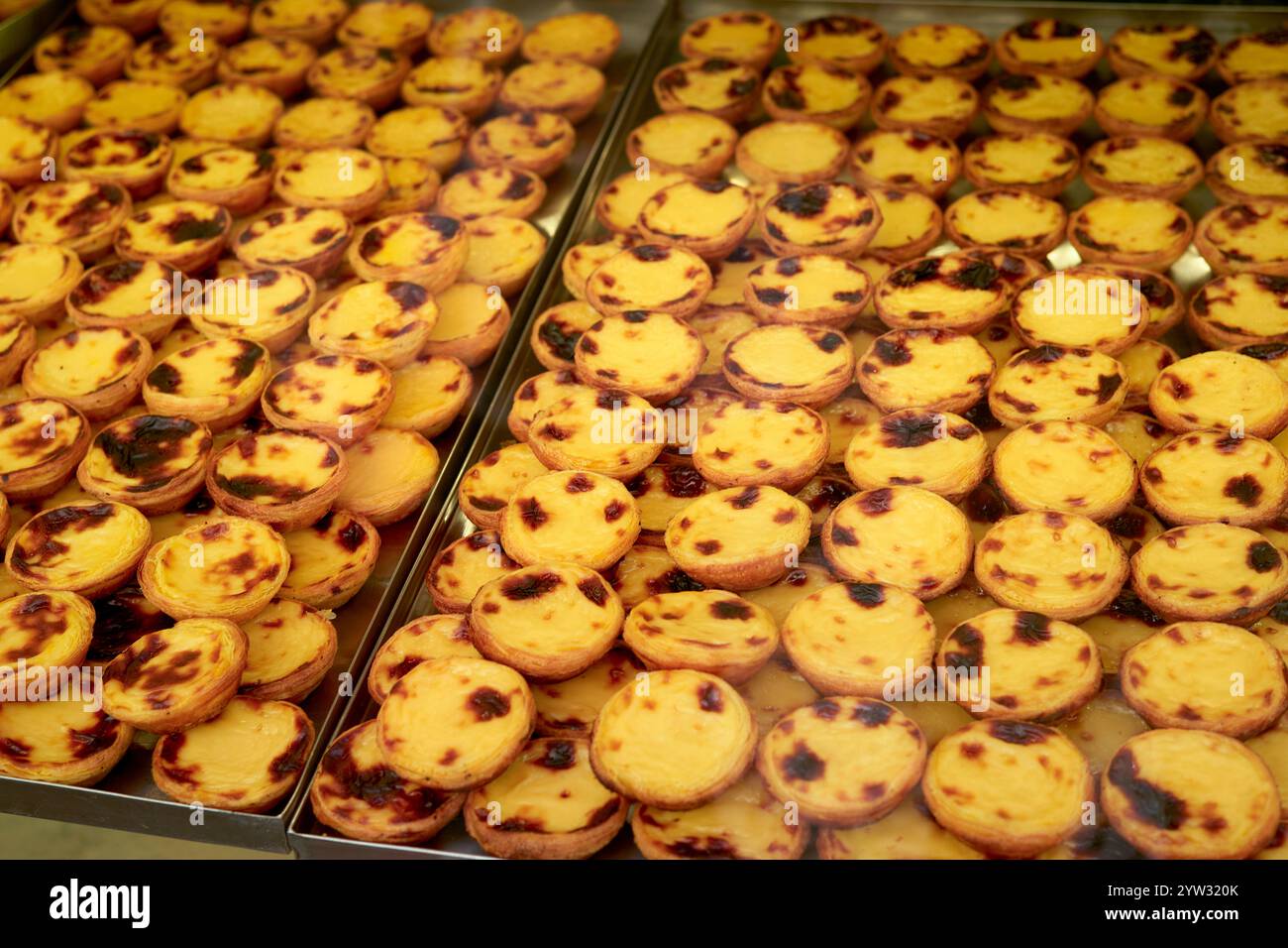 Frisch gebackenes Pastell de Nata, traditionelle portugiesische Pudding-Torten, in ordentlichen Reihen in einer Bäckerei, Portugal Stockfoto