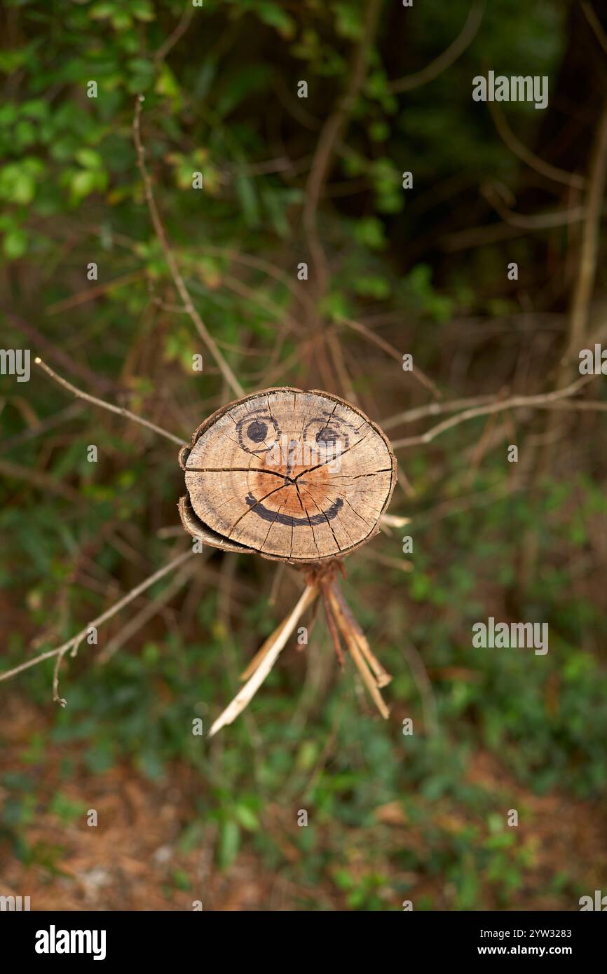 Ein lächelndes Gesicht auf einem gehäuften Baumstamm inmitten von Büschen, Portugal Stockfoto