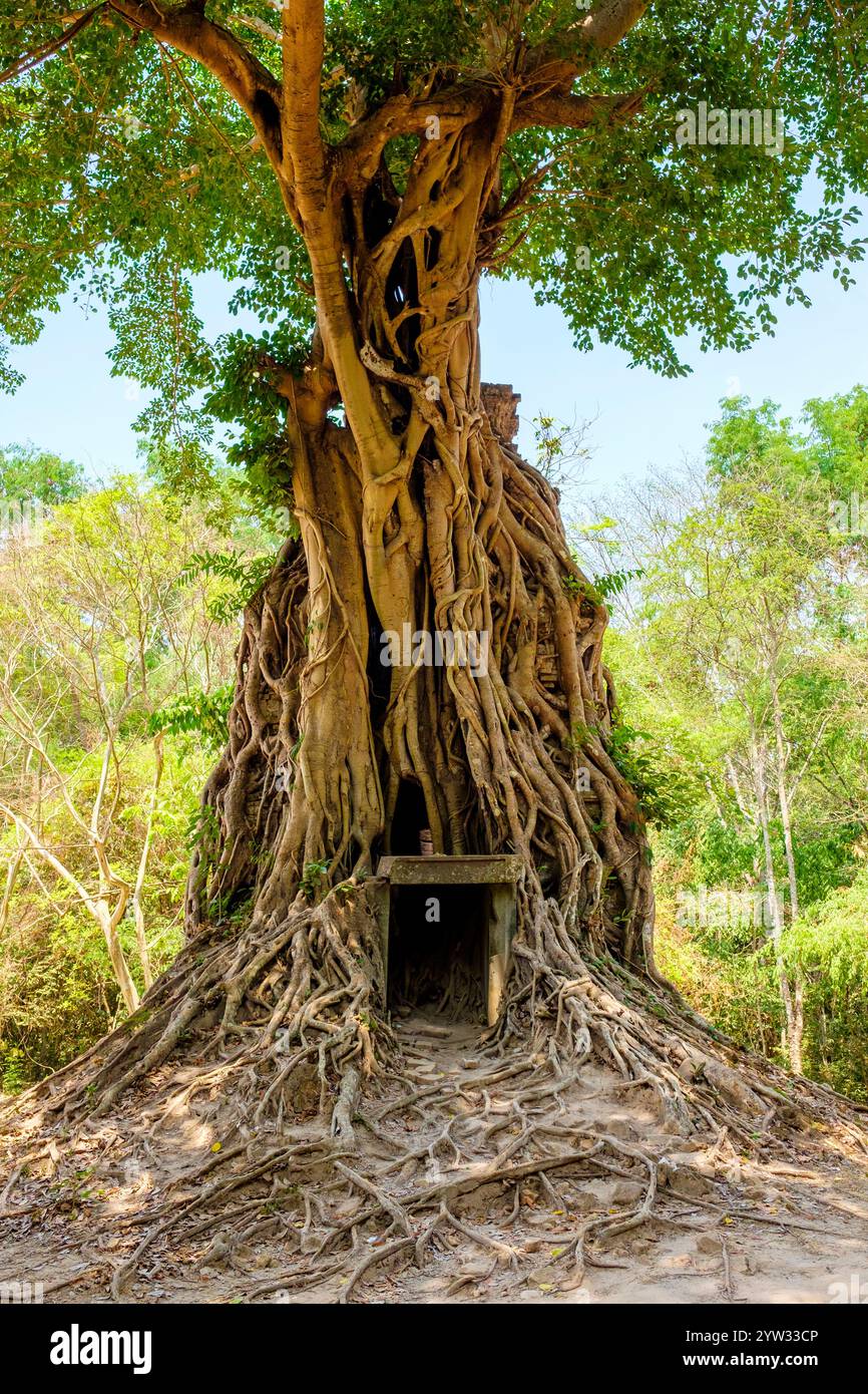 Sambor Prei Kuk, Provinz Kampong Thom, Kambodscha Stockfoto