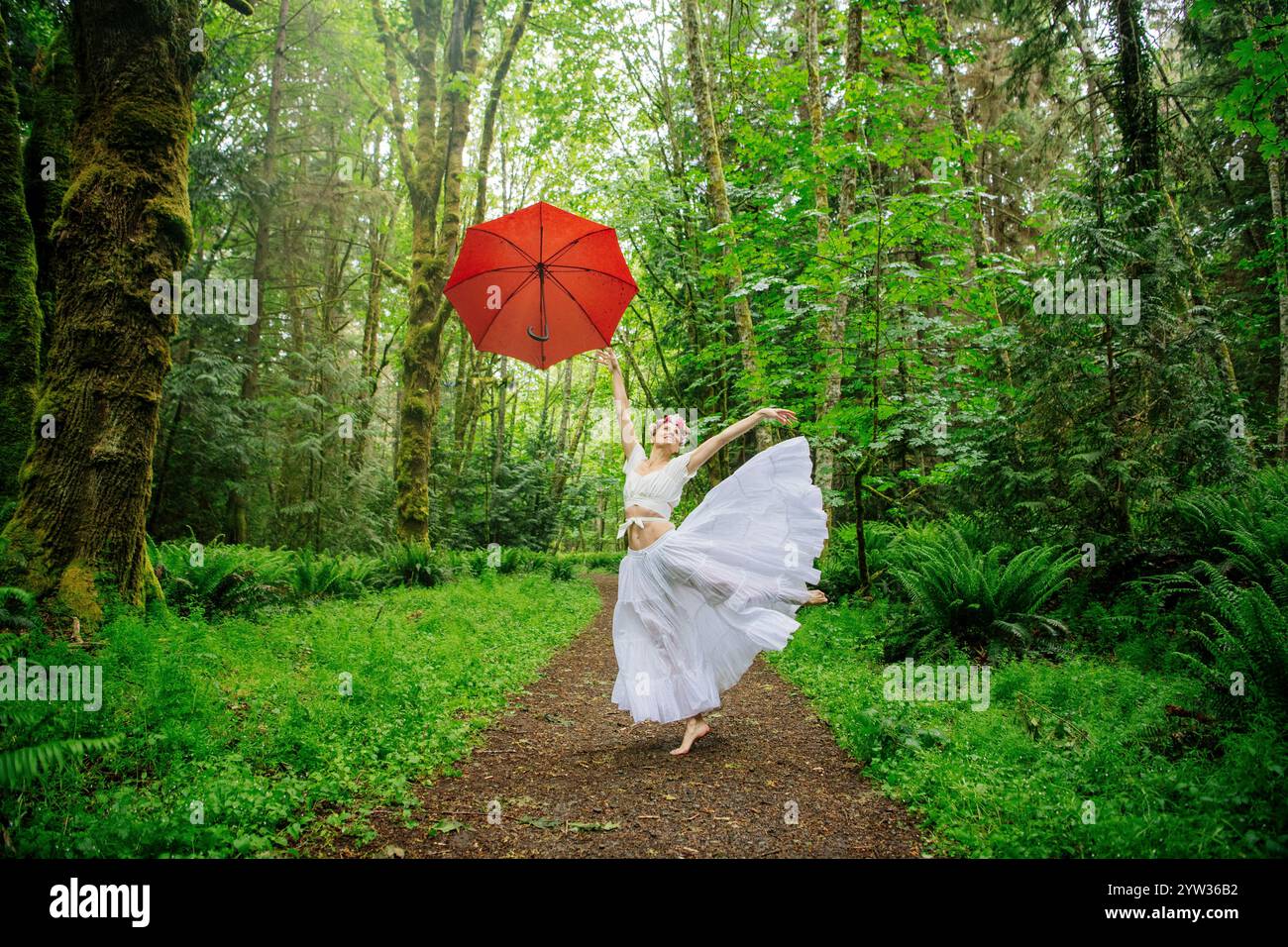 Eine fröhliche Balletttänzerin mit einem roten Regenschirm wirbelt in einem fließenden weißen Kleid auf einem Waldweg, USA Stockfoto