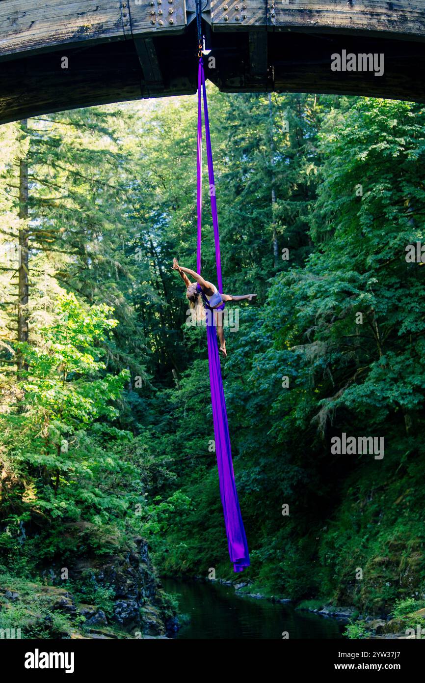 Luftdarsteller mit eleganter Pose auf einer violetten Seide, die an einer Brücke in einem üppigen Wald hängt, USA Stockfoto