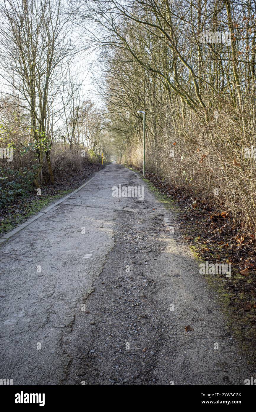 Landstraße in einer wunderschönen Landschaft Stockfoto