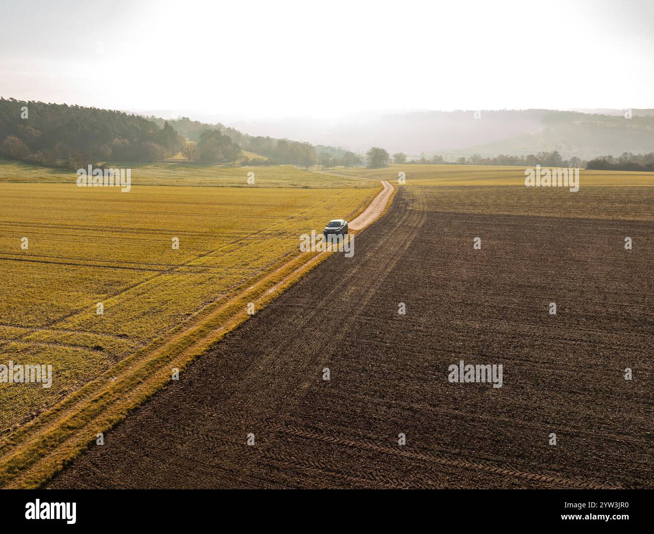 Landschaftsaufnahme eines Autos auf einem Weg zwischen goldenen und braunen Feldern im Sonnenlicht, Elektroauto VW ID5, Deer Carsharing, Gechingen, Schwarzwald, Deutschland Stockfoto