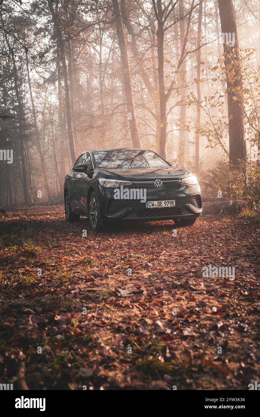 Ein Volkswagen parkt in einem ruhigen Wald voller Herbstlaub in den frühen Morgennebel, Elektroauto VW ID5, Deer Carsharing, Gechingen, Schwarzwald, G Stockfoto