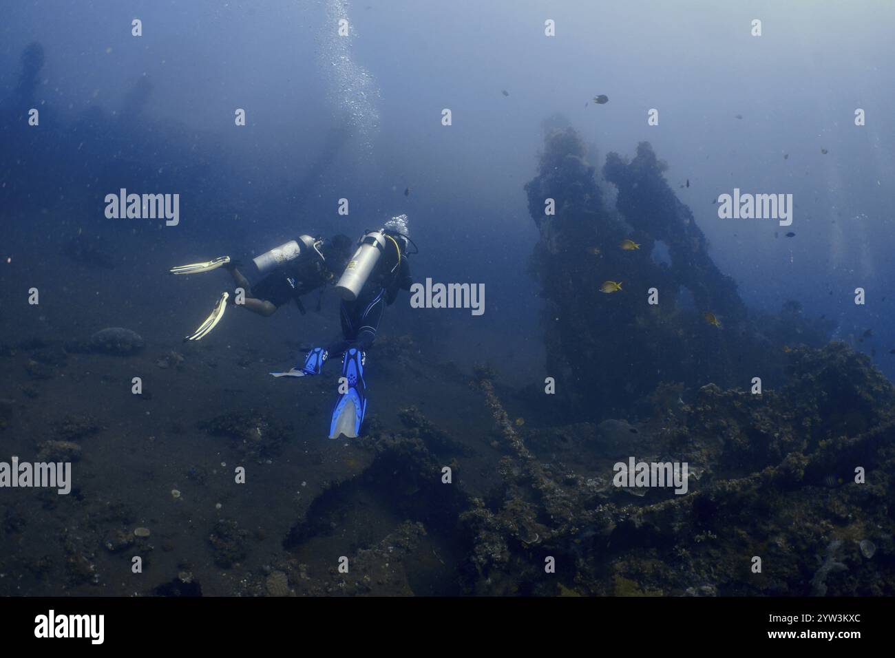 Zwei Taucher erkunden ein Schiffswrack auf dem Meeresboden in der tiefblauen Umgebung des Ozeans, Tauchplatz Wrack der USAT Liberty, Tulamben, Bali, Indonesi Stockfoto