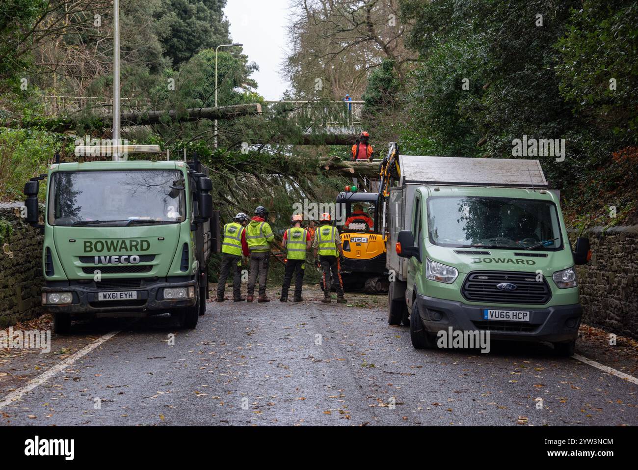 Oxford, Großbritannien, 9. Dezember 2024. Die Arbeiten haben begonnen, den großen Baum zu beseitigen, der Headington Hill komplett nach Storm Darragh blockiert. Headington Hill ist die Hauptstraße von Oxford City Centre in Richtung London und der M40. Busse und anderer Verkehr werden umgeleitet, bevor die Straße frei ist. Quelle: Martin Anderson/Alamy Live News. Stockfoto