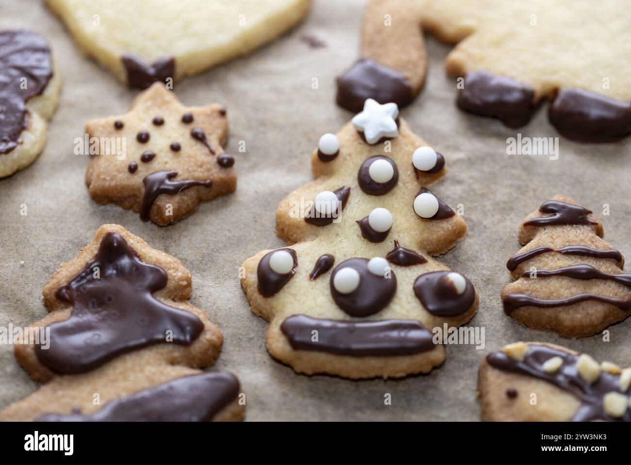 Festliche Kekse mit Schokoladendekoration in Form von Weihnachtsbäumen und Sternen auf Backpapier, Weihnachtsbacken, Weihnachtsgebäck, Deutschland, Stockfoto