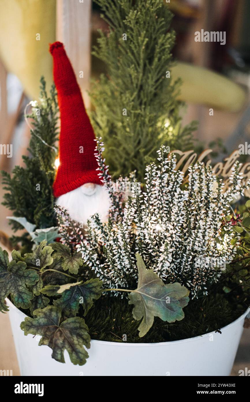 Festlicher Pflanzgefäß mit Grün, weißem Heidekraut und einer Zwergfigur. Betont gemütliche und skurrile Ideen zur Weihnachtsdekoration. Stockfoto