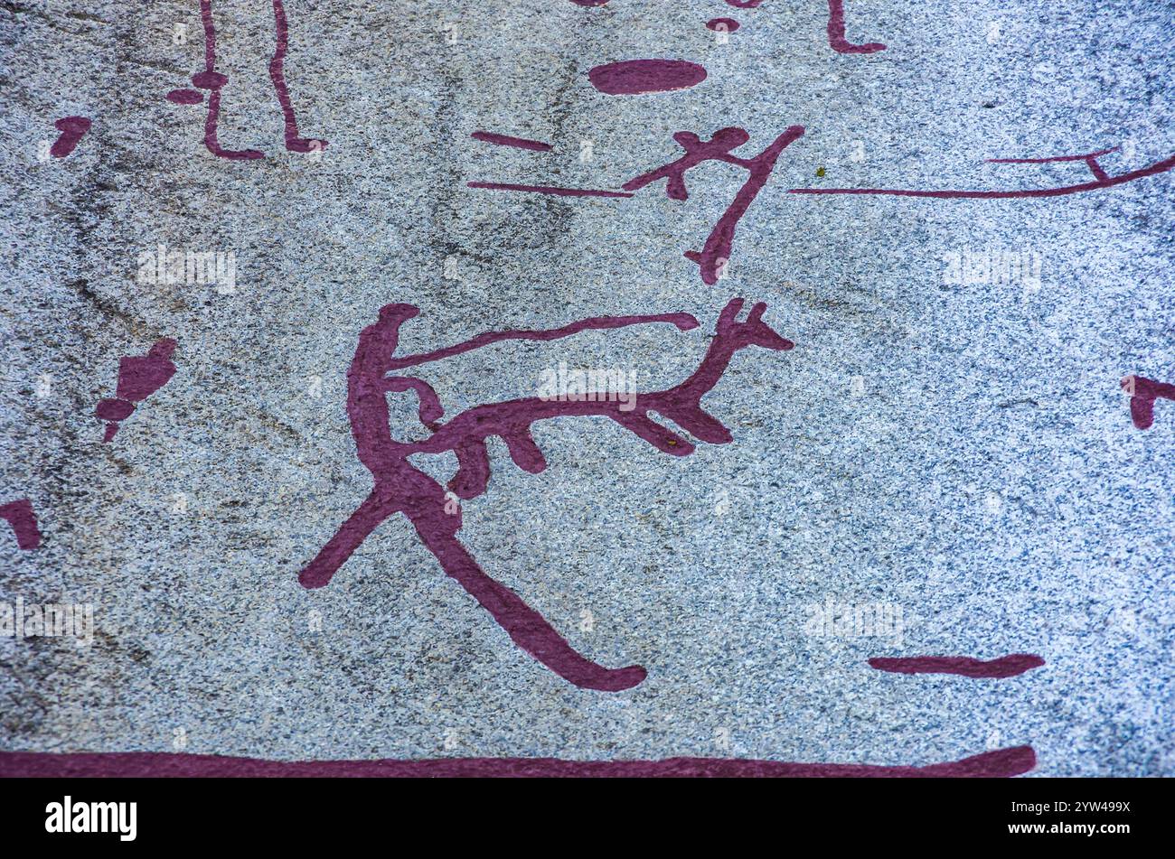 Abschnitt der Vitlycke Petroglyphen, Teil der Tanum-Felszeichnungen, die zum UNESCO-Weltkulturerbe gehören, in der Nähe des Dorfes Tanumshede, Bohuslän, Schweden. Stockfoto