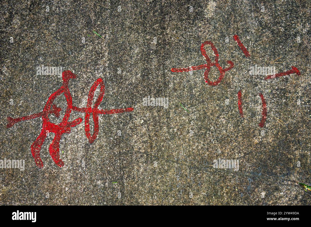 Abschnitt der Vitlycke Petroglyphen, Teil der Tanum-Felszeichnungen, die zum UNESCO-Weltkulturerbe gehören, in der Nähe des Dorfes Tanumshede, Bohuslän, Schweden. Stockfoto