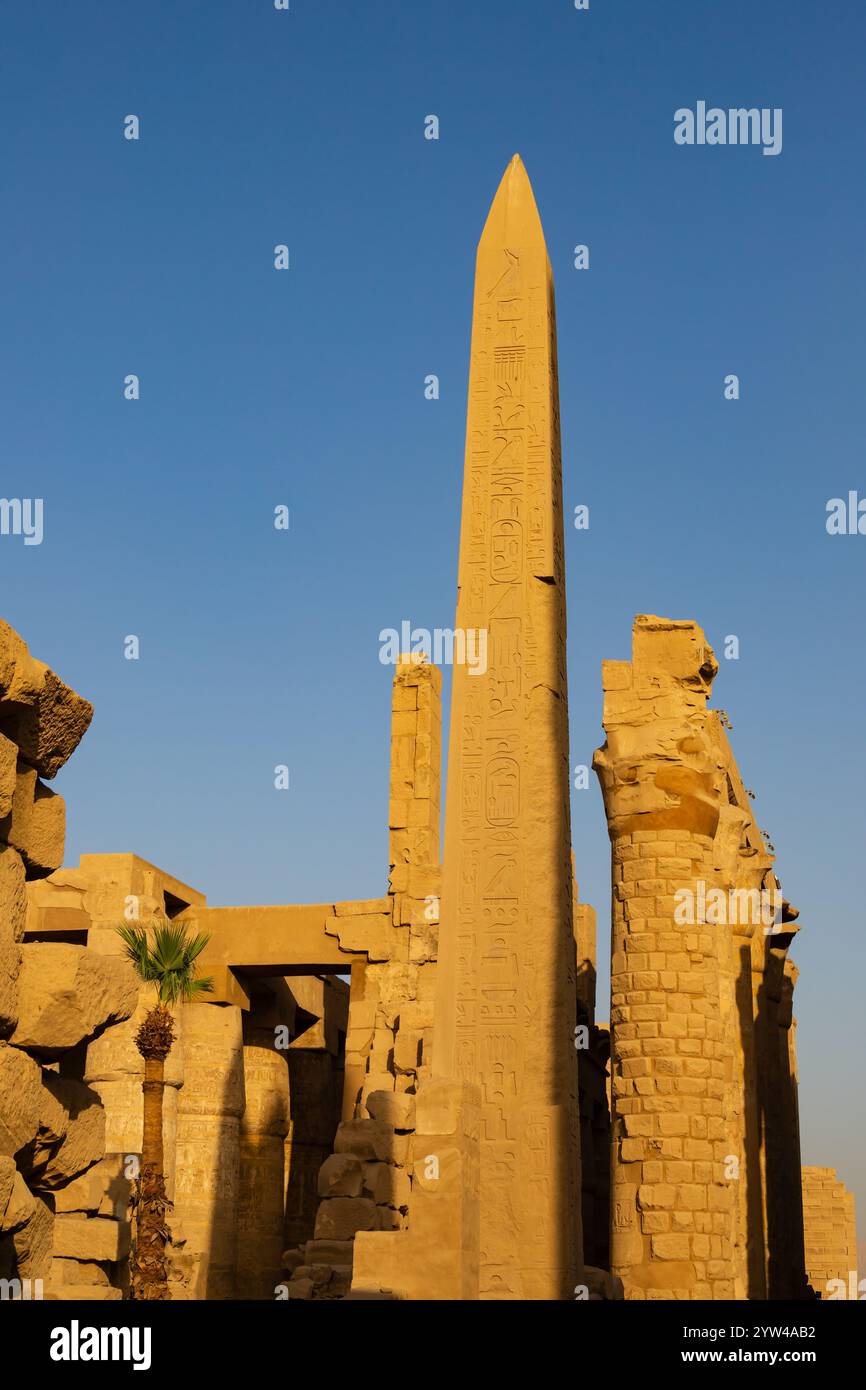 Sonnenaufgang leuchtet am frühen Morgen auf dem Obelisken der Königin Hatschepsut, altägyptisches Freilichtmuseum des Karnak-Tempels, El-Karnack, Luxor, Ägypten Stockfoto