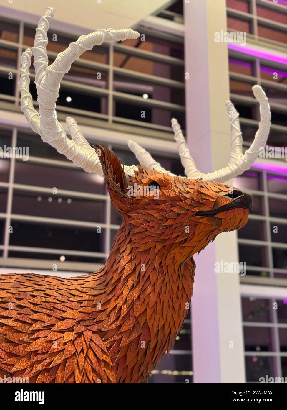 Leder Buck - Smartphone-aufgenommenes Stockfoto