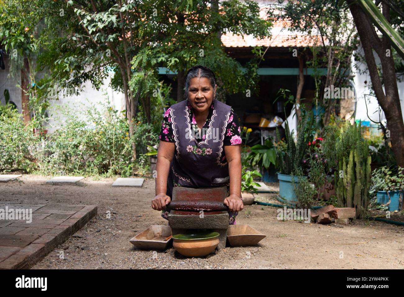 Teotitlan del valle, Oaxaca, Mexiko; 1. November 2024: Ein traditioneller Koch mahlt Schokolade auf einem Metat, einem alten Küchenutensil zum Mahlen von ingre Stockfoto