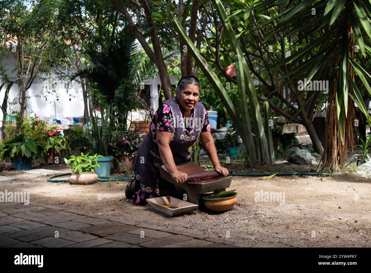 Teotitlan del valle, Oaxaca, Mexiko; 1. November 2024: Ein traditioneller Koch mahlt Schokolade auf einem Metat, einem alten Küchenutensil zum Mahlen von ingre Stockfoto