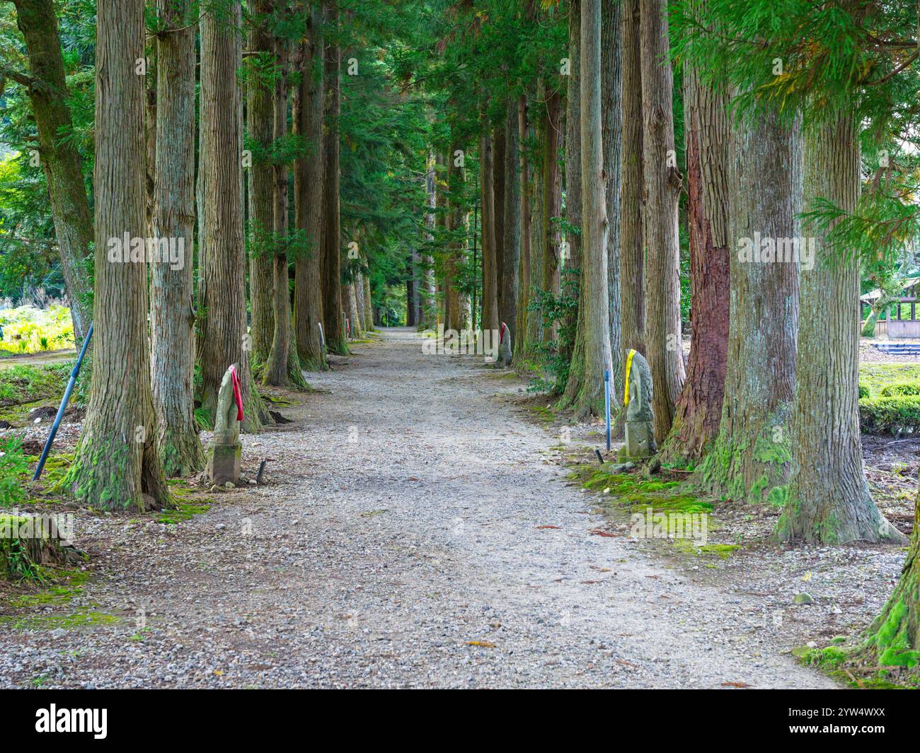 Ganmokuzan Ryusenji-Tempel in Kamiichi (Toyama/Japan) Stockfoto