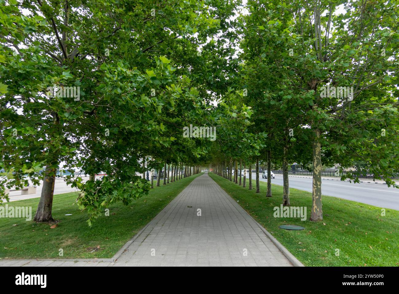 Noworossijsk, Russland 28. August 2024 Sonntagmorgen Spaziergang durch die Straßen, Parks und den Damm der Stadt. Stockfoto