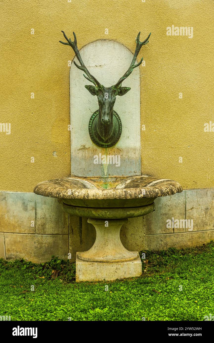 Wasserbrunnen mit Hirschkopf-Skulptur, die Wasser in ein Steinbecken gießt. Blagneux, Chevrières, Frankreich, Europa Stockfoto