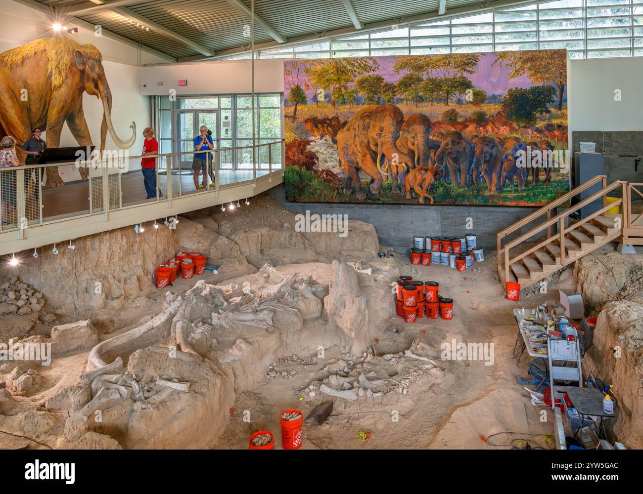 Neben einem Gemälde kolumbianischer Mammuths (Mammuthus Columbi) im Waco Mammoth National Monument, Waco, Texas, USA Stockfoto