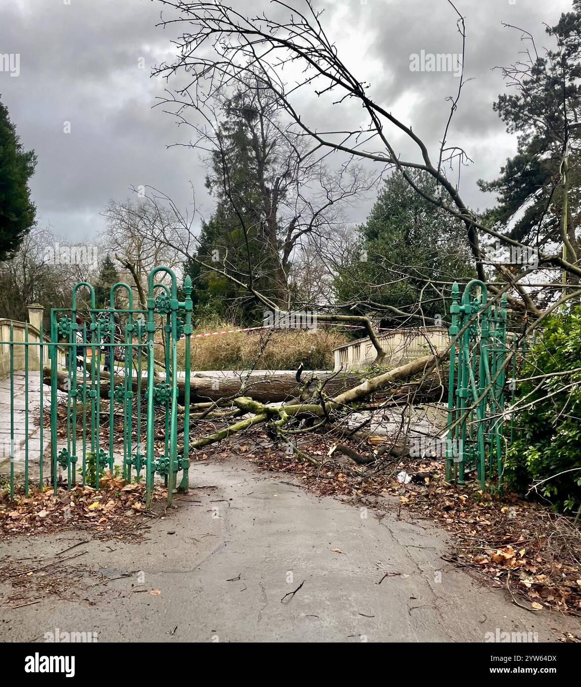 Nicht exklusiv: Bäume werden in der Nähe der Pittville Park Bridge umgeworfen und das Dach der Laurie Lee University in Cheltenham wird nach Storm Darrag beschädigt Stockfoto