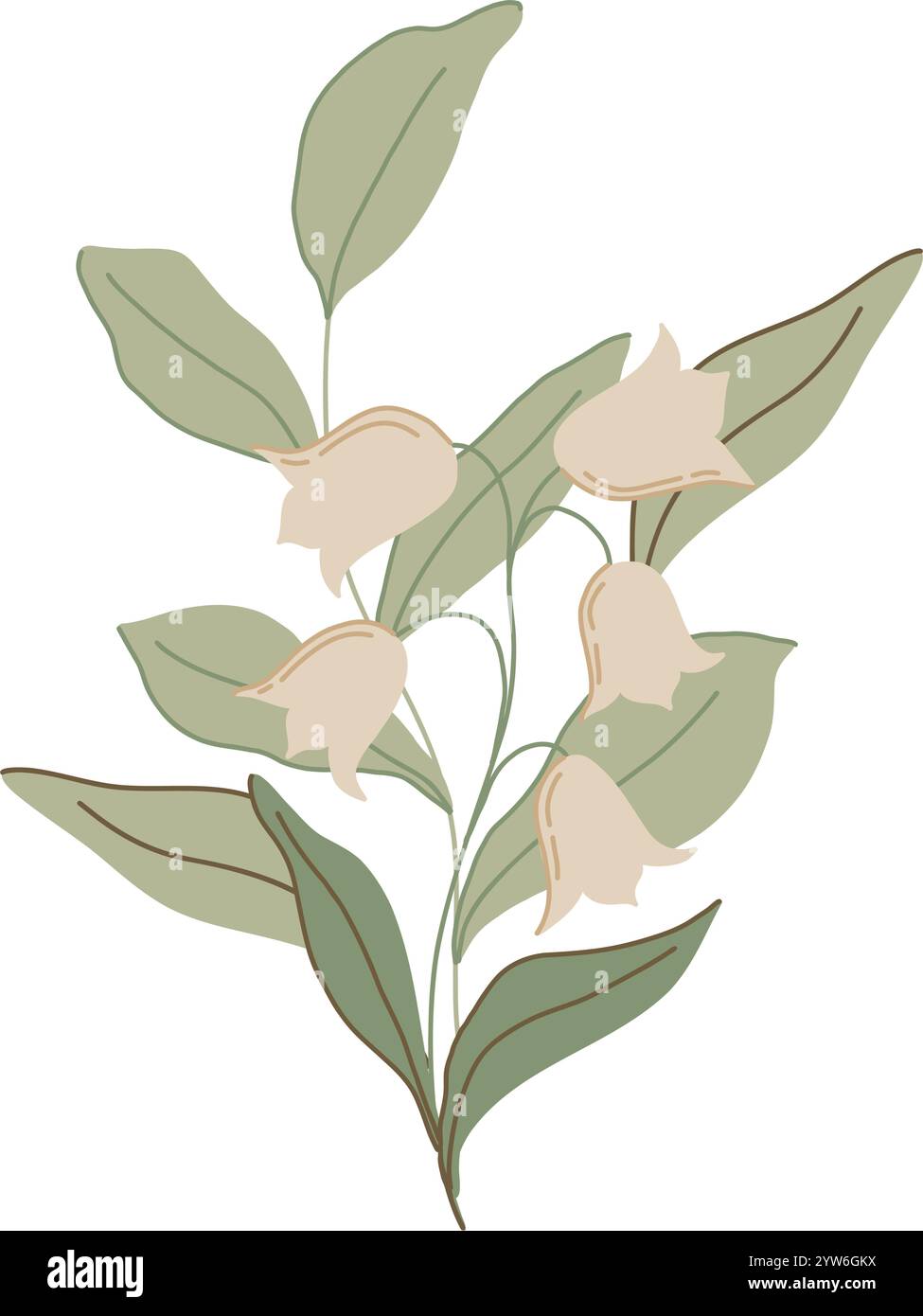 Elegante flache Vektor-botanische Illustration mit zarten Blumen, Blättern und Zweigen in gedeckten Grüntönen, Beige und weiß. Perfekt für Stock Vektor