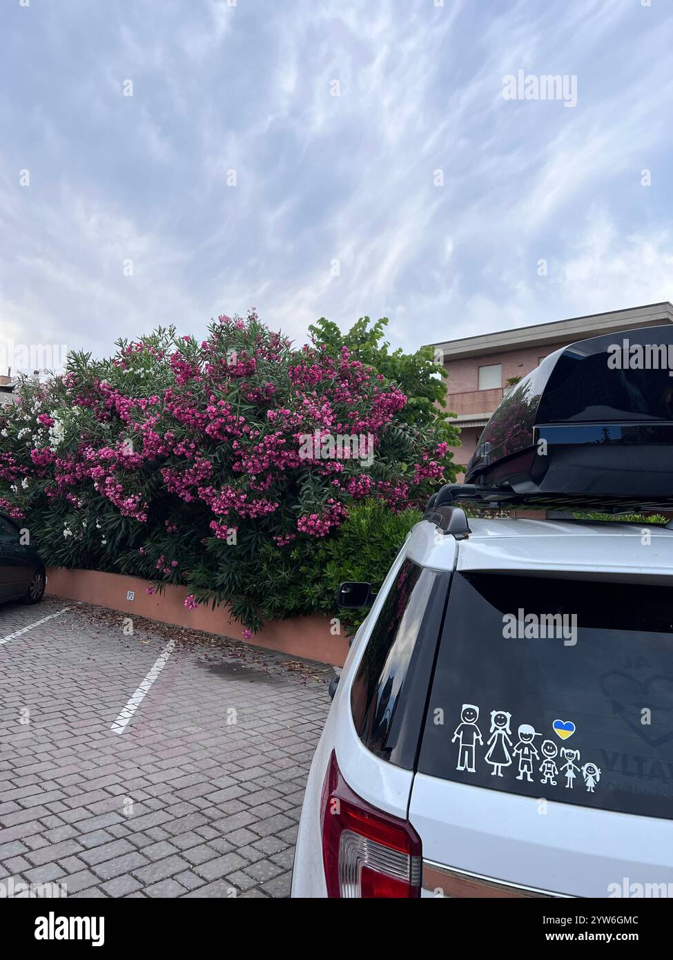 Ein Familienauto mit Stabfiguren-Aufklebern steht neben leuchtend rosa blühenden Sträuchern unter einem bewölkten Himmel, was eine entspannte Urlaubsatmosphäre widerspiegelt. Stockfoto