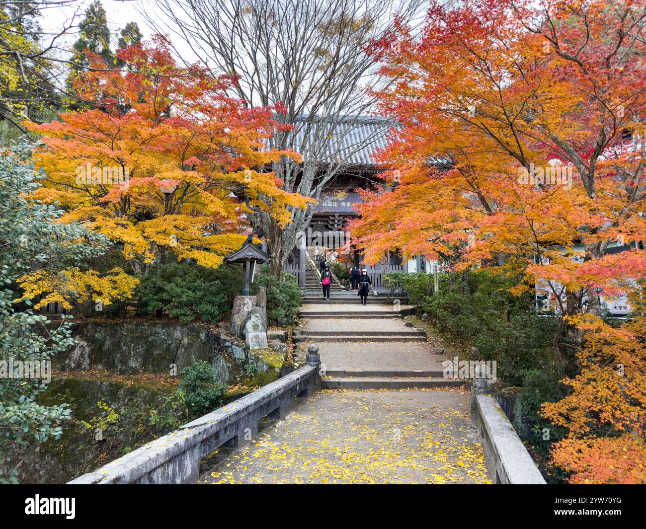 Der Eingang zum Tempel wird von atemberaubenden Herbstahorn eingerahmt Stockfoto